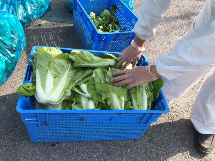 点赞！美团旗下餐饮供应链平台快驴进货向“战疫”一线捐赠16吨新鲜蔬菜