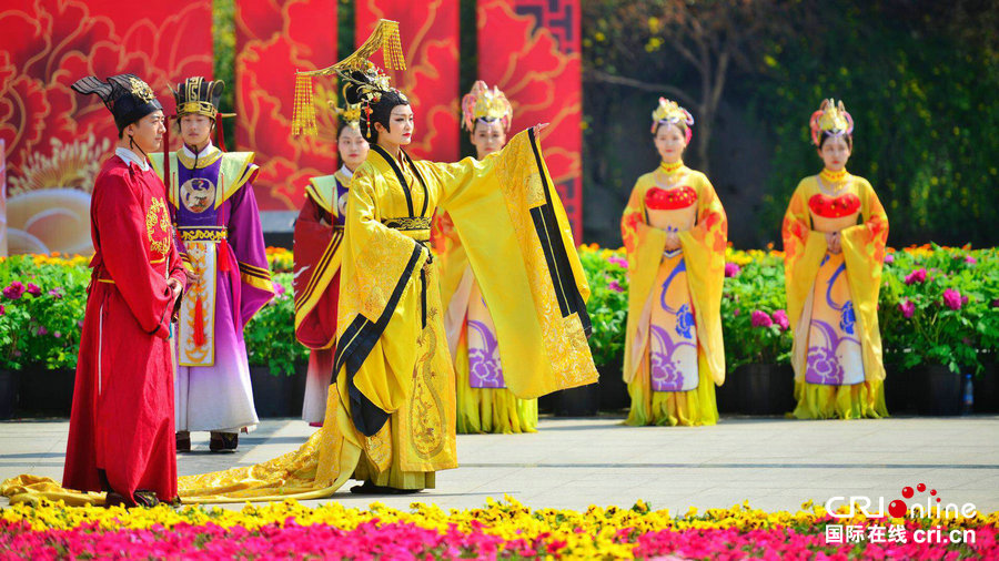 [河南原创]第37届中国洛阳牡丹文化节赏花活动启动