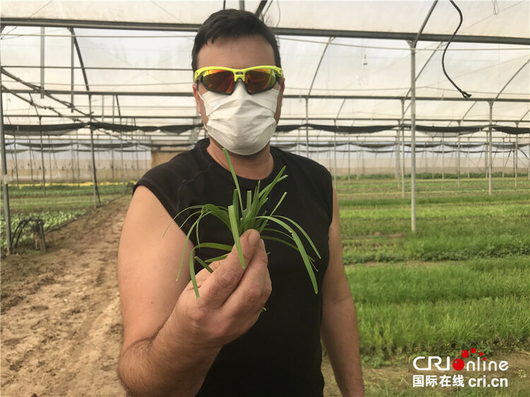 以色列南部的中国蔬菜基地 为亚洲人量身定制