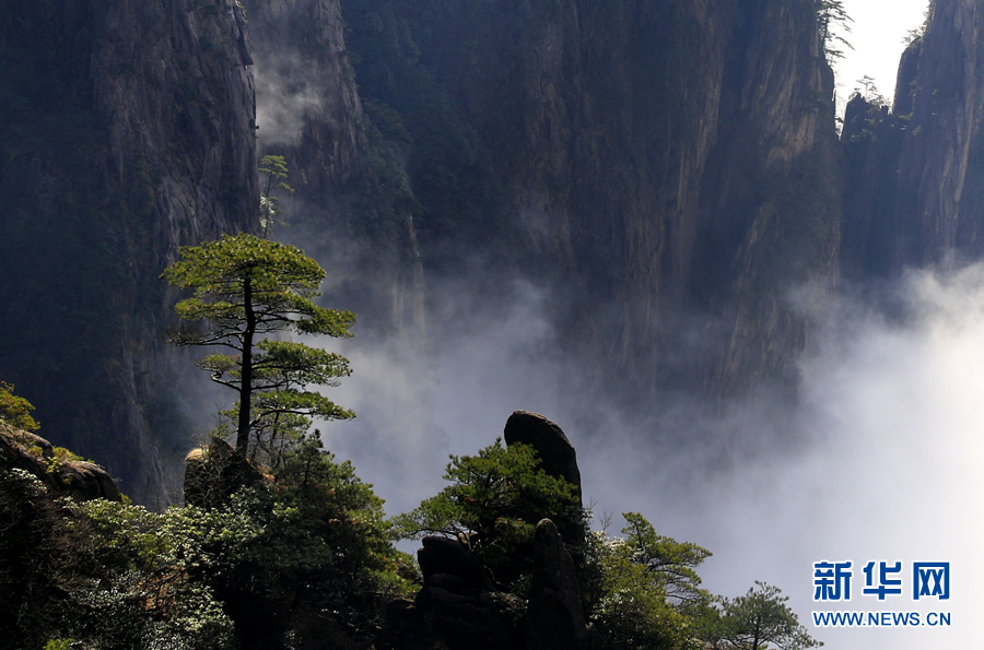 黄山：云海波澜阔 天地钟奇秀