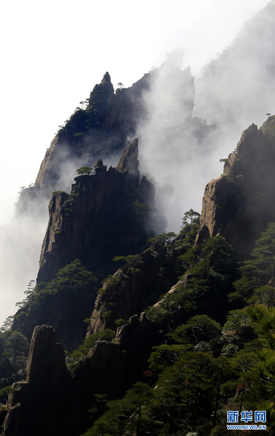 黄山的景色秀丽神奇图片