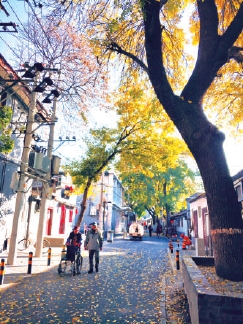 小巷深度“美顏”京城更加多彩