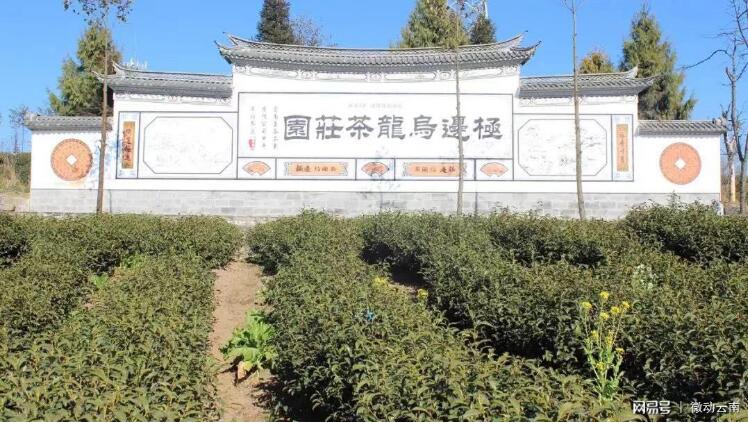 腾冲：打好绿色食品牌，生态文明建设有成效