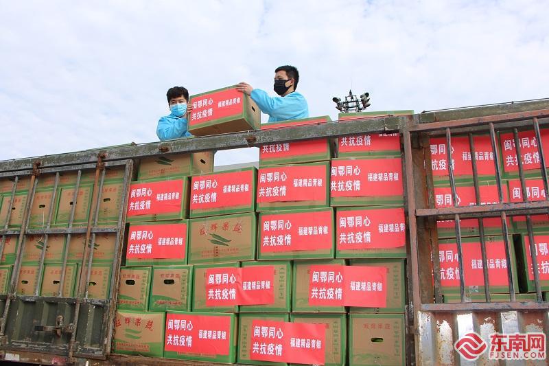 福建省600吨蔬菜驰援湖北武汉 分两批次运达武昌东站