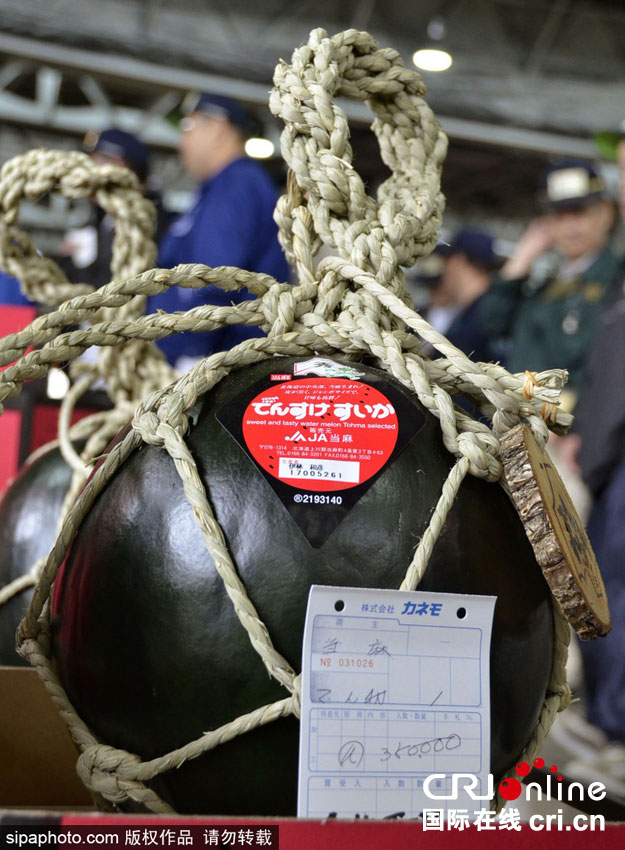 日本稀有黑皮西瓜标价1.7万人民币