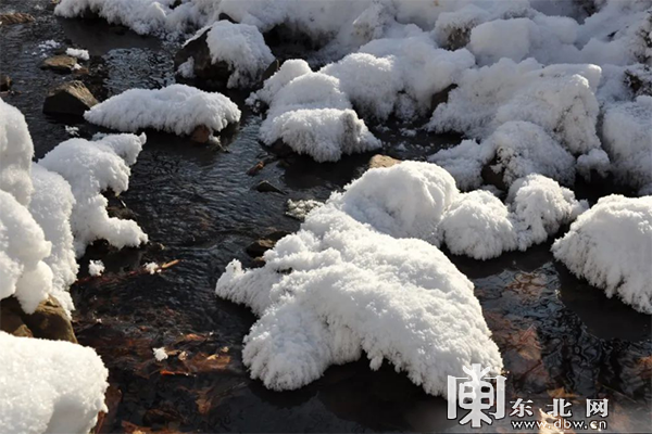 下雪啦！黑龙江奉上冰雪百景绚丽景致