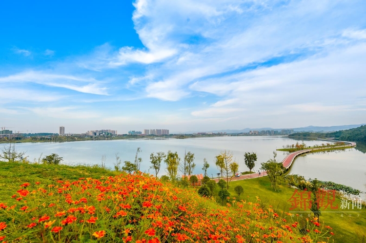李宏偉:以生態價值實現促進公園城市建設