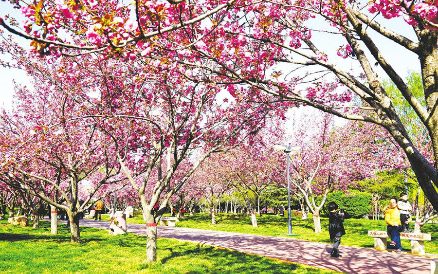 圖片默認標題_fororder_00_副本