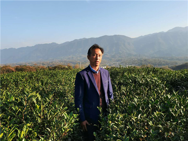 【決勝2020】 陜西西鄉：讓“小農戶對接大市場” 精準扶貧與産業發展兩不誤