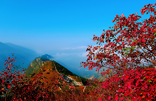 第十四屆中國•重慶長江三峽(巫山)國際紅葉節開幕