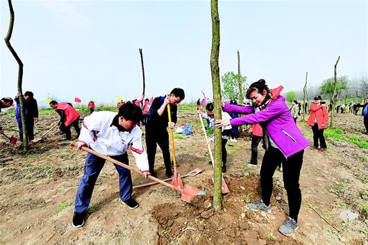 省市青年共植复绿林