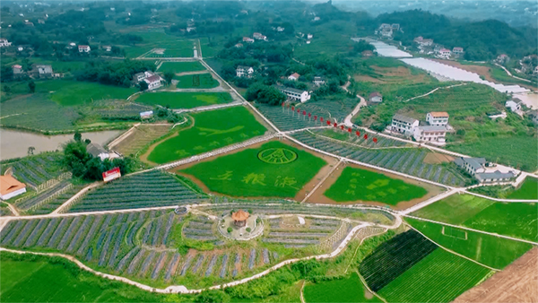 宜宾市翠屏区连续十年位列四川省经济发展十强县