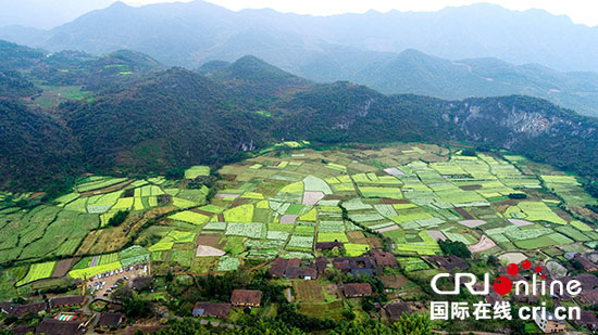 江西上饶市玉山县：如梦如幻的春天“调色板”