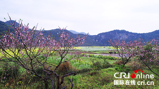 江西上饶市玉山县：如梦如幻的春天“调色板”