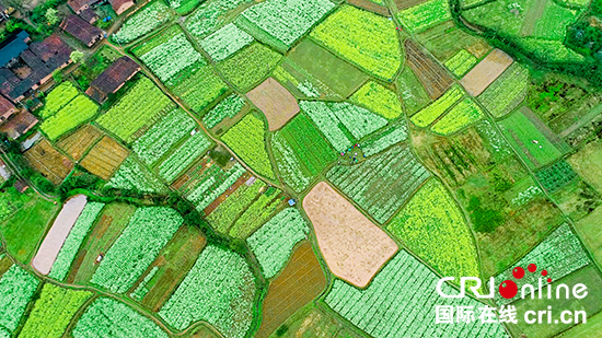 江西上饶市玉山县：如梦如幻的春天“调色板”