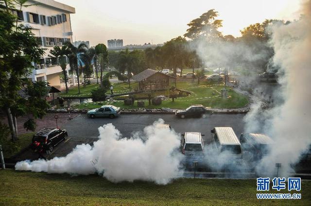 马来西亚喷烟雾灭蚊防登革热症