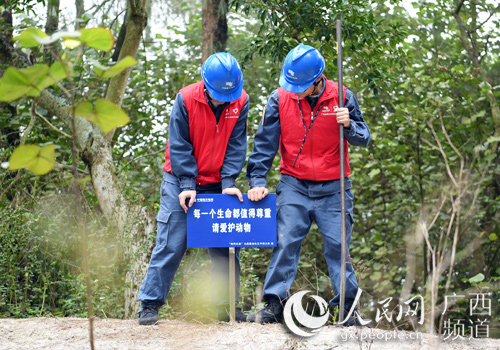 人與自然和諧共生 北侖河口白鷺飛