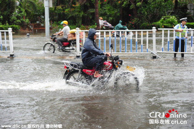 台风"鲸鱼"掠过三亚 道路积水大树倒地