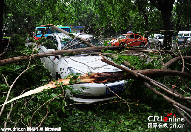 颱風"鯨魚"掠過三亞 道路積水大樹倒地