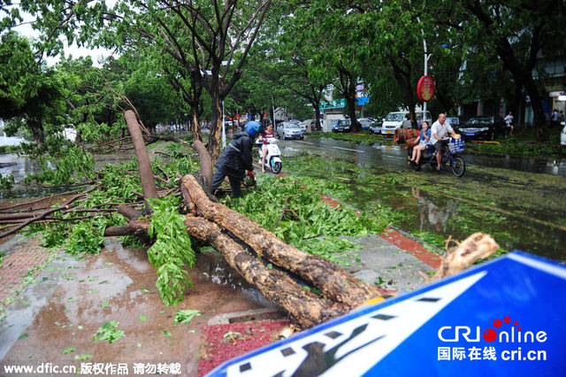 颱風"鯨魚"掠過三亞 道路積水大樹倒地