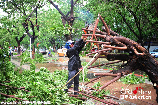 颱風"鯨魚"掠過三亞 道路積水大樹倒地