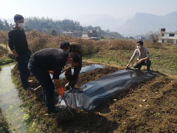 （市州）水城縣發耳鎮：戰“疫”不忘保生産 抓管護找銷路促增收