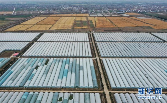 江蘇濱海：現代農業園初顯規模