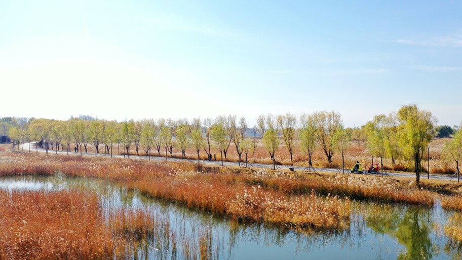 The Green Development of Beijing Yeyahu Lake Creates Ecological Beauty