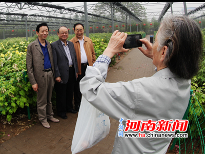 Peonies Blossom Brightly in Luoyang