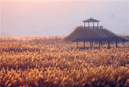 图片默认标题_fororder_J1-5