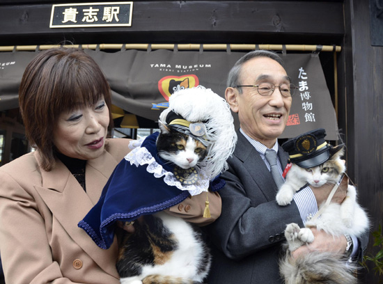 日本猫站长阿玉去世 传奇“猫生”啥样