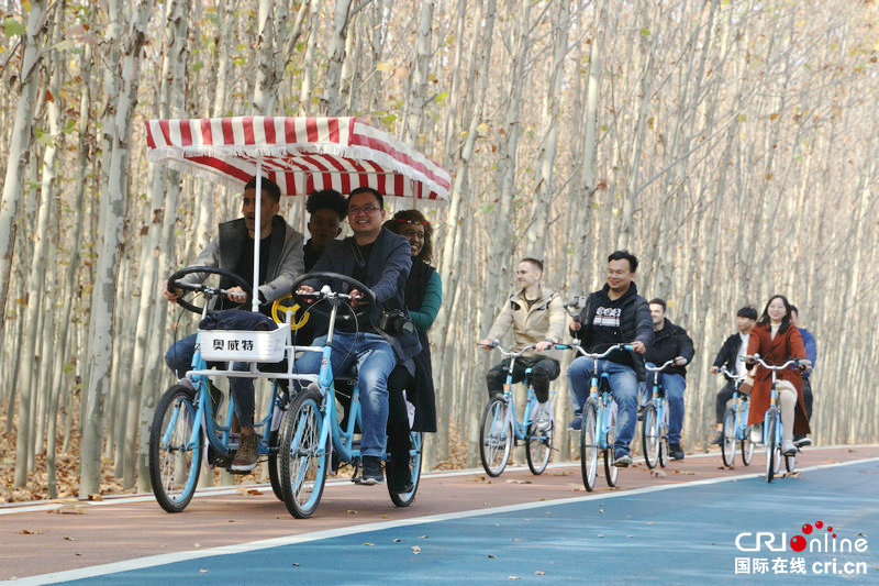 Young Foreigners' Trip in Huiji District of Zhengzhou, Henan in 2020