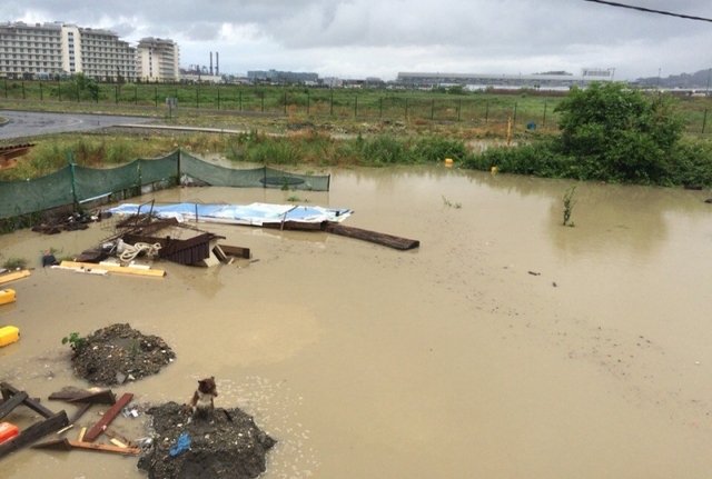 俄索契暴雨成災變澤國 民眾乘氣墊出行