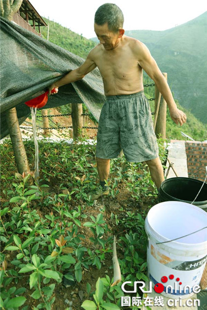 已过审【行游巴渝 标题摘要】重庆巫山市政园林抗旱保美 让风景常驻