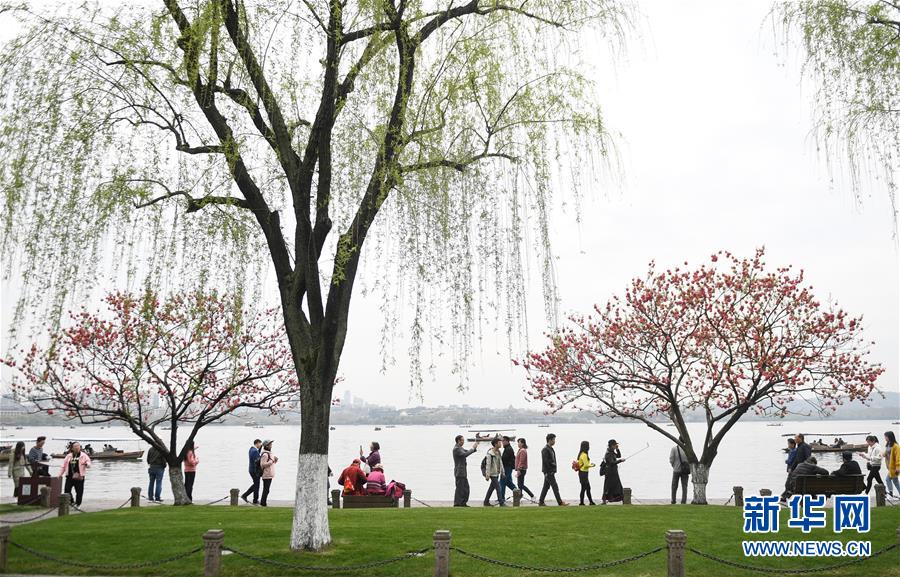 杭州西湖：桃红柳绿正当时