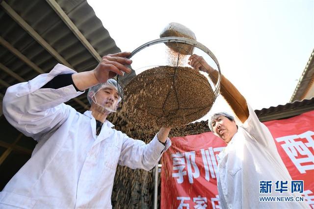 河北晋州：传统酥糖手工制作技艺