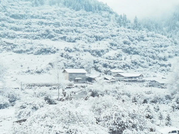 四川茂縣：雪中松坪 美輪美奐