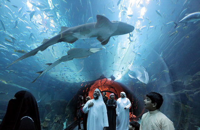 盘点全球最豪华购物中心 可坐过山车观赏鲨鱼