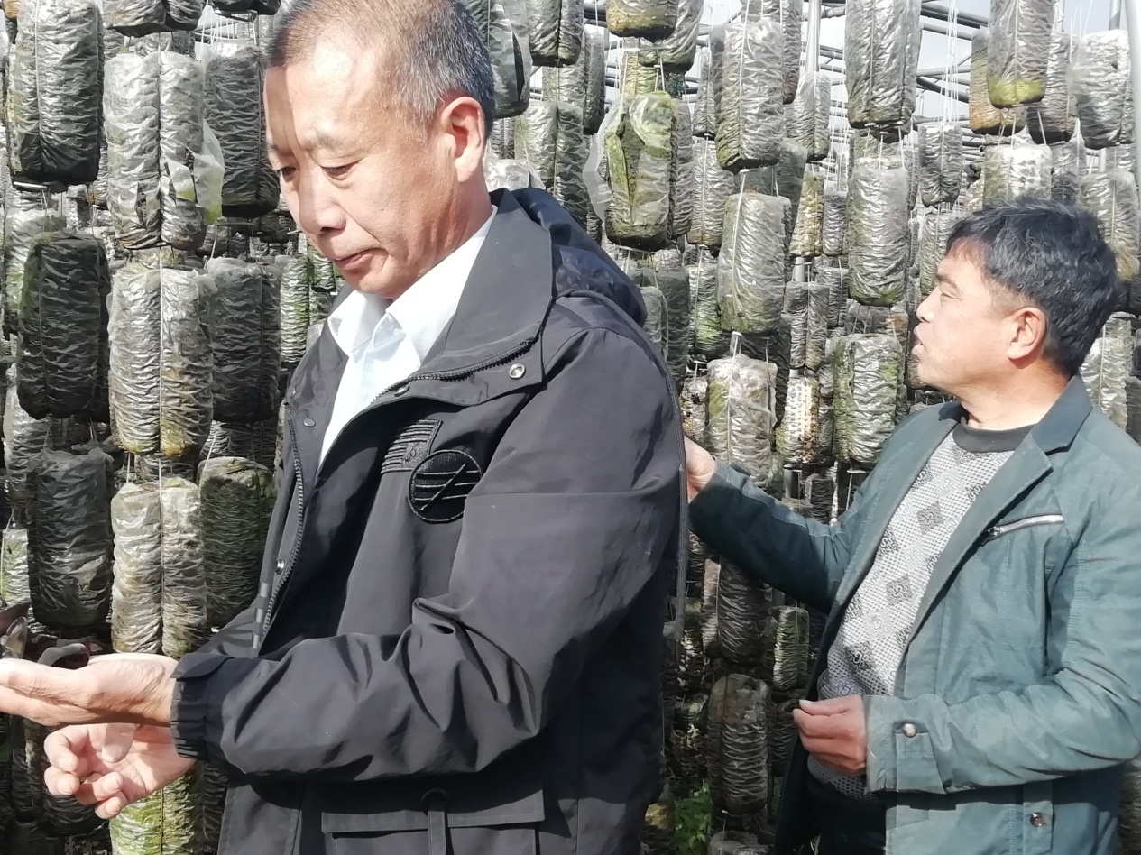 金融活水浇灌“神树”花开 ——建设银行黑龙江伊春分行驻神树村扶贫队员李秀民帮扶侧记