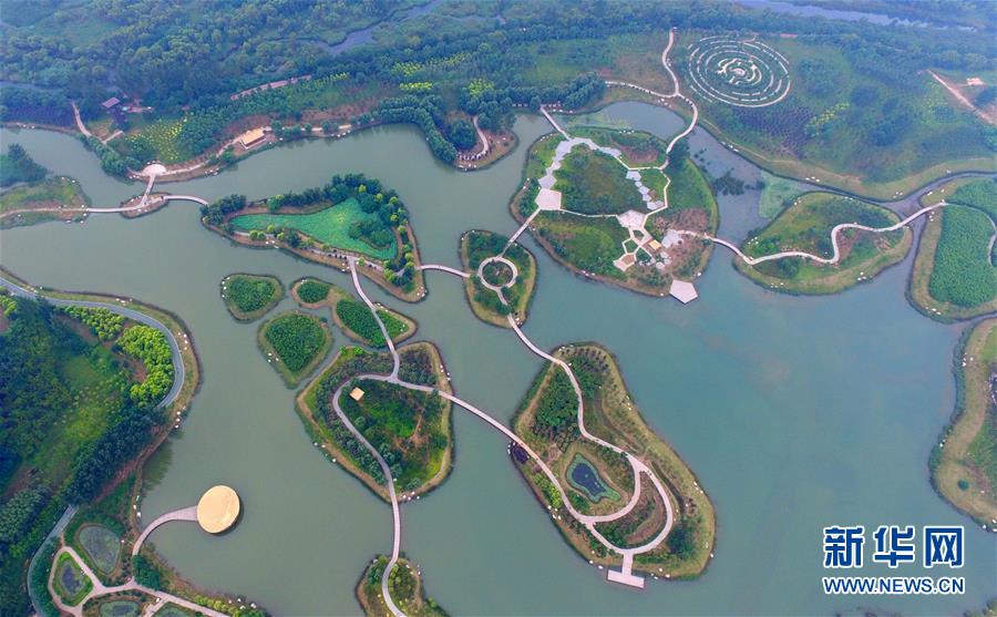 河南鹤壁：淇河湿地生态美