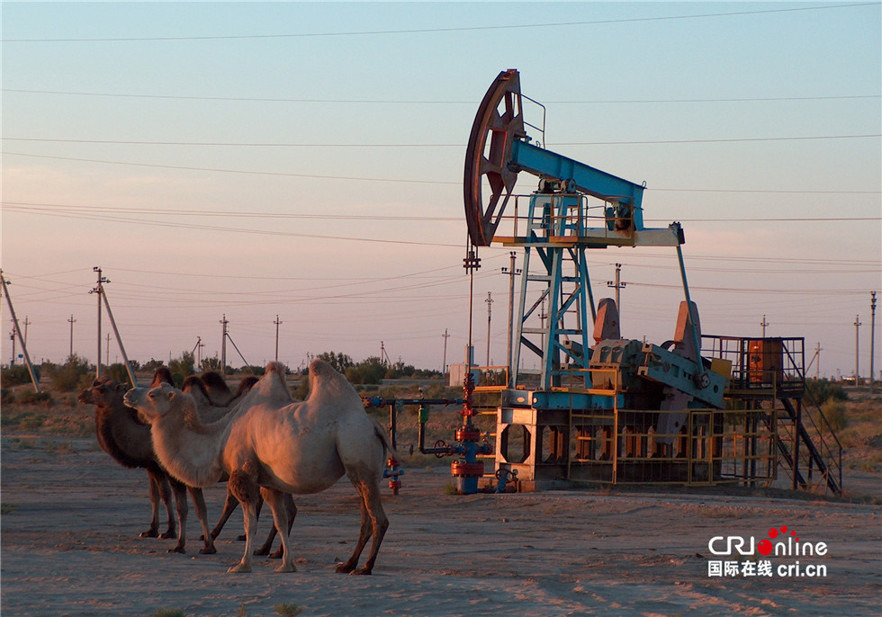 图片默认标题_fororder_哈萨克-PK项目-井架与骆驼.JPG