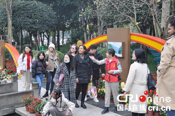 看菊展泡溫泉 外國友人暢遊重慶巴南