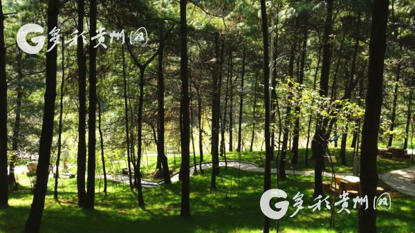 （大生态）2018年，贵阳市完成植树造林80.99万亩、建成公园82个……