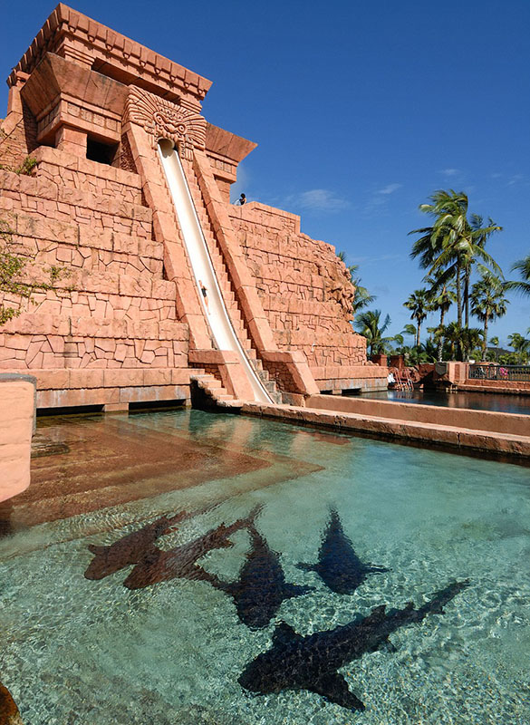 盘点全球最刺激的水滑梯：与鲨鱼共泳