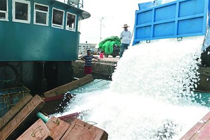 【社會廣角（圖片+摘要）】【走遍山東-青島】“史上最嚴”休漁期將結束 青島漁民忙備航