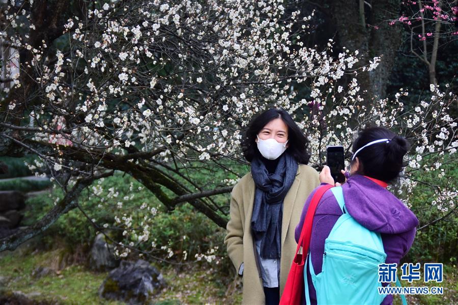 杭州西湖景区所属公园景点有序开放