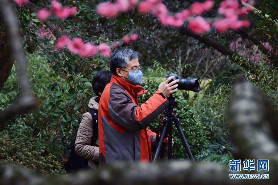 杭州西湖景区所属公园景点有序开放