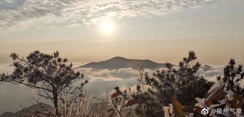 美！福建多地出现雾凇景观，让人心醉！