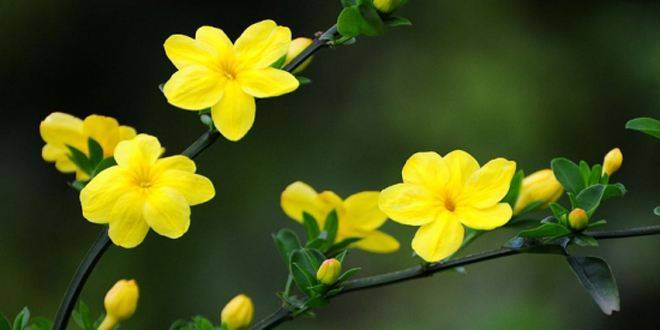 （社會）沒有一個春天可以被阻擋——寫在全省企業防控疫情復工復産之際