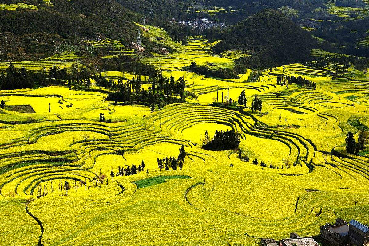 （社會）沒有一個春天可以被阻擋——寫在全省企業防控疫情復工復産之際